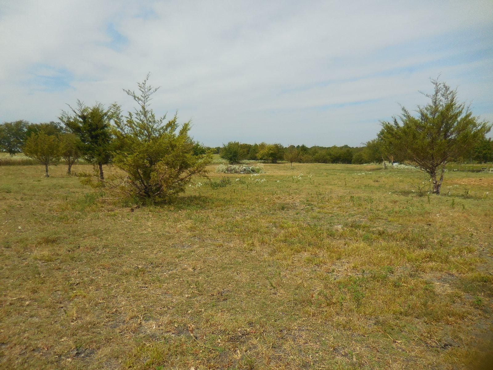 236 County Road 4519, Wolfe City, TX 75496 MLS 20428589 LandWatch