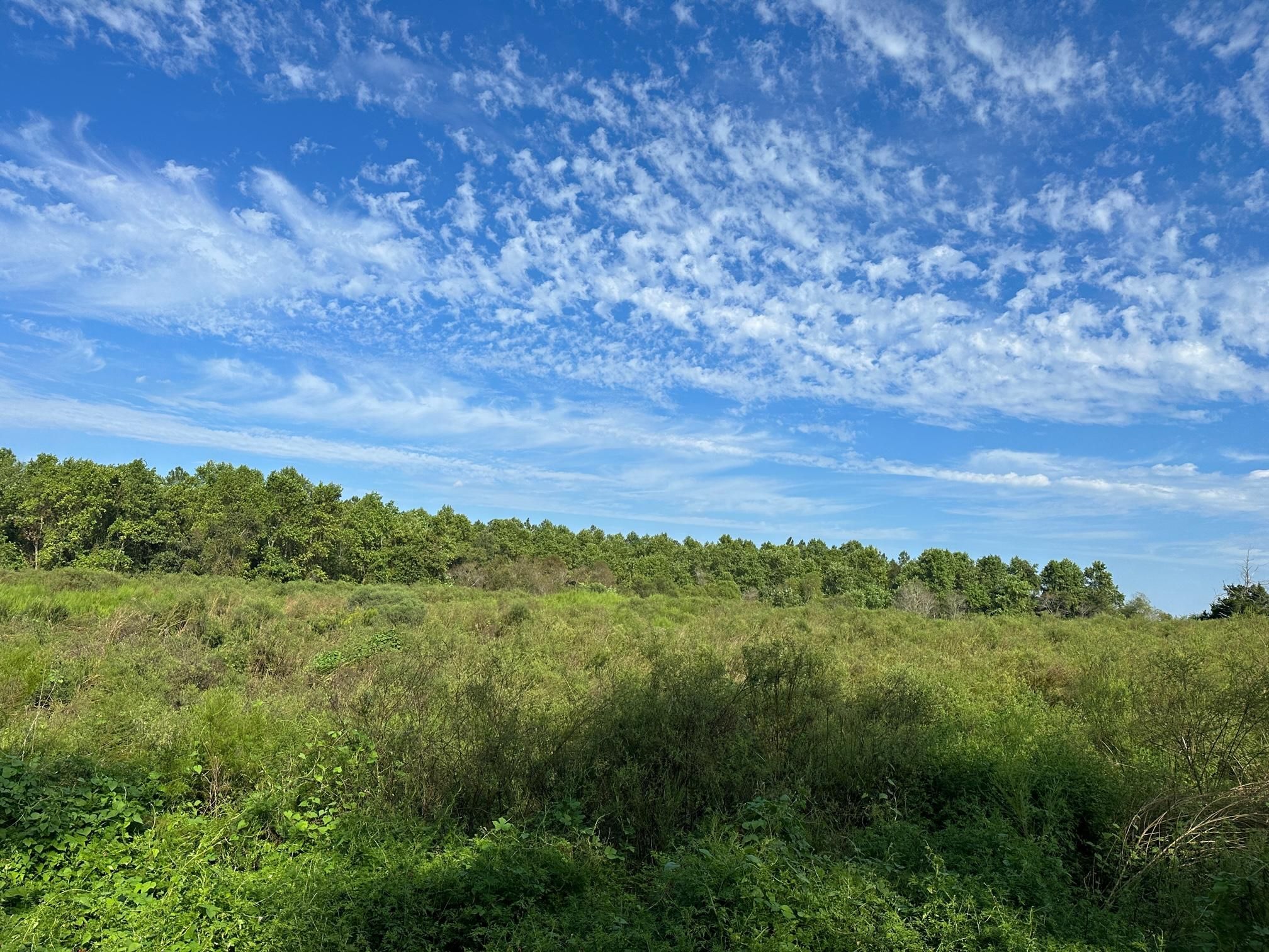 Alma, Bacon County, GA Farms and Ranches for sale Property ID