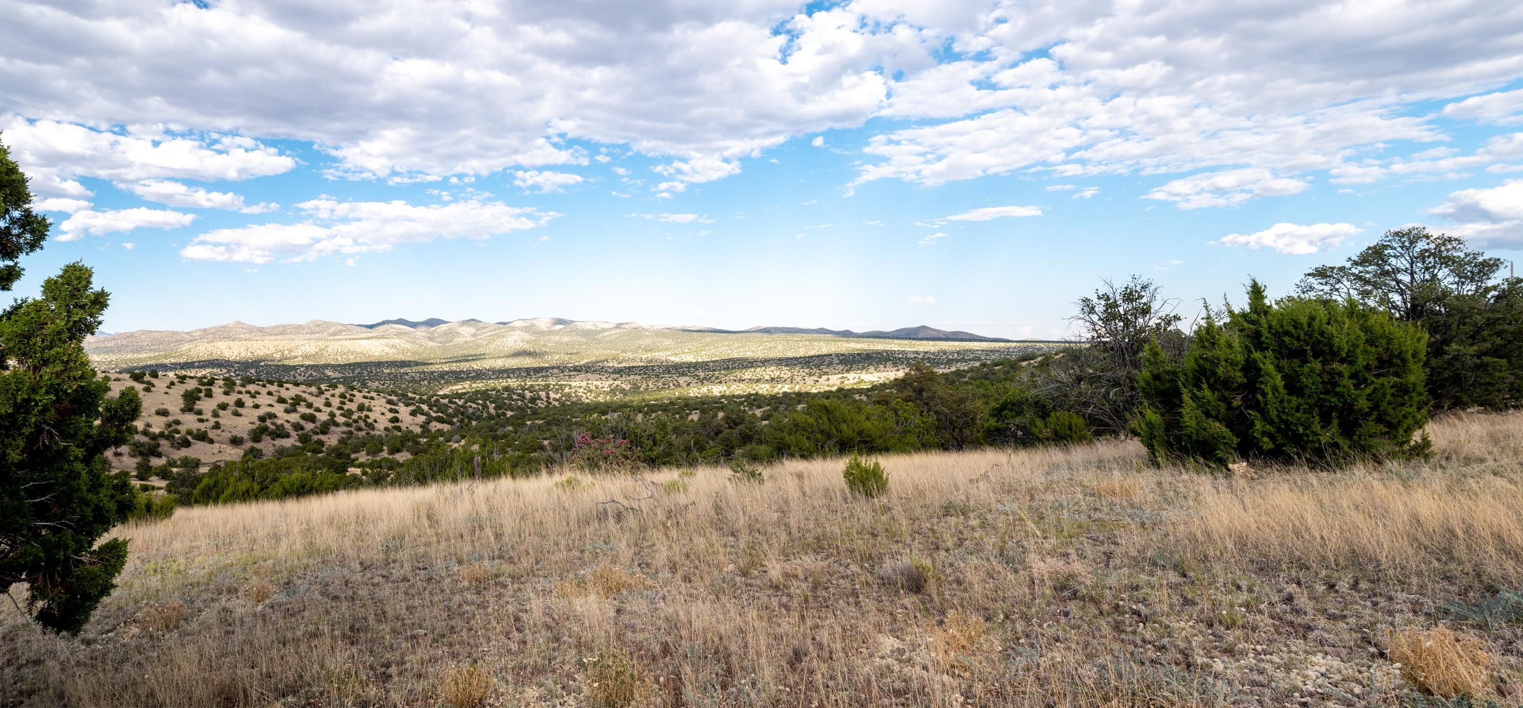 Magdalena, Socorro County, NM Undeveloped Land for sale Property ID