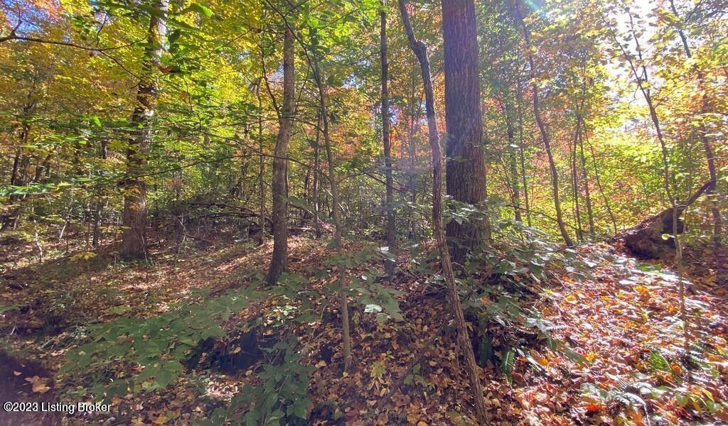 Clarkson, Grayson County, KY Homesites for sale Property ID 413839942