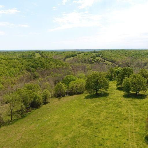 Aurora, Barry County, MO Undeveloped Land for sale Property ID