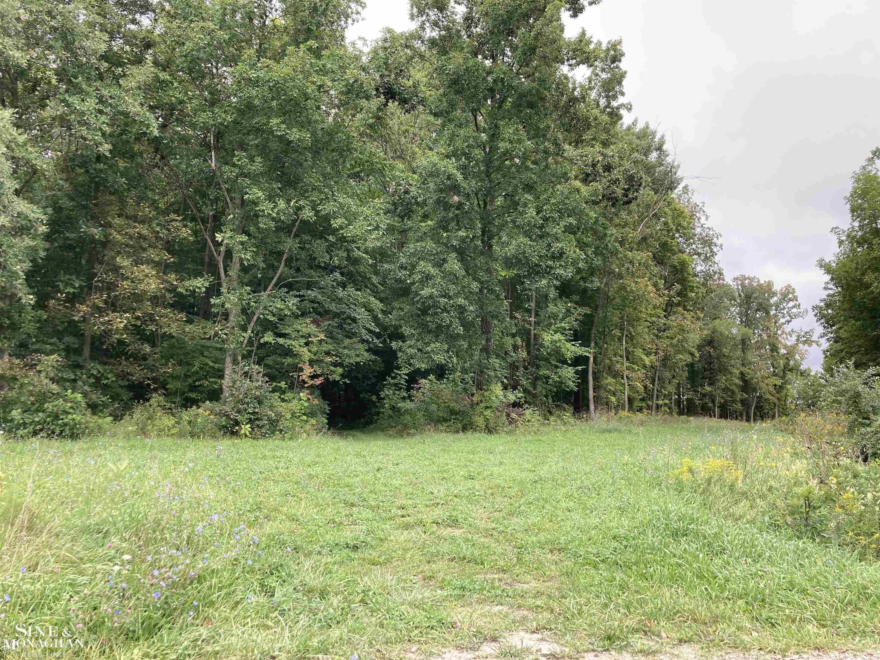 Saint Clair, Saint Clair County, MI Undeveloped Land for sale Property