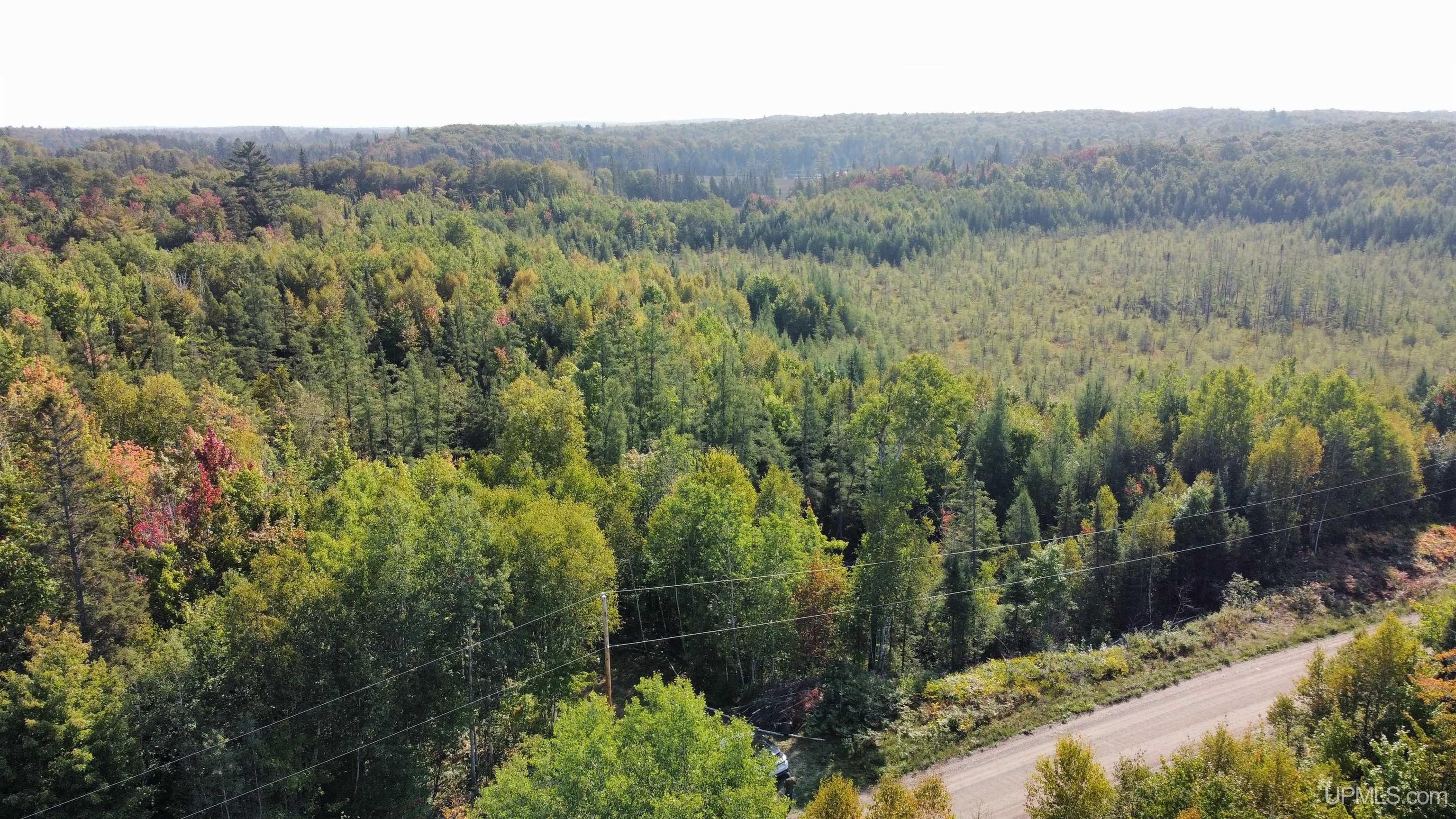 Michigamme, Baraga County, MI Undeveloped Land for sale Property ID