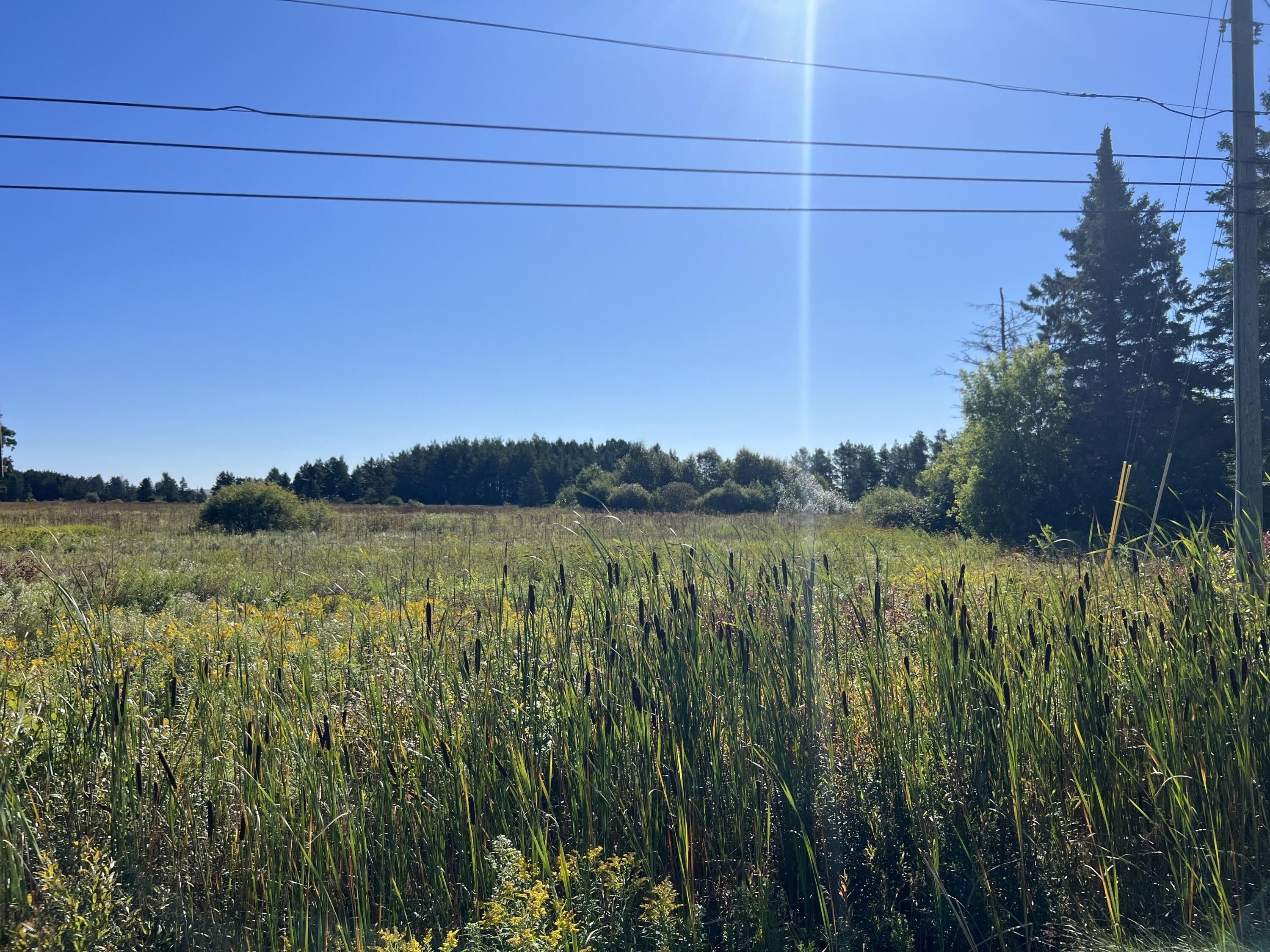 Rudyard, Chippewa County, MI Undeveloped Land, Homesites for sale