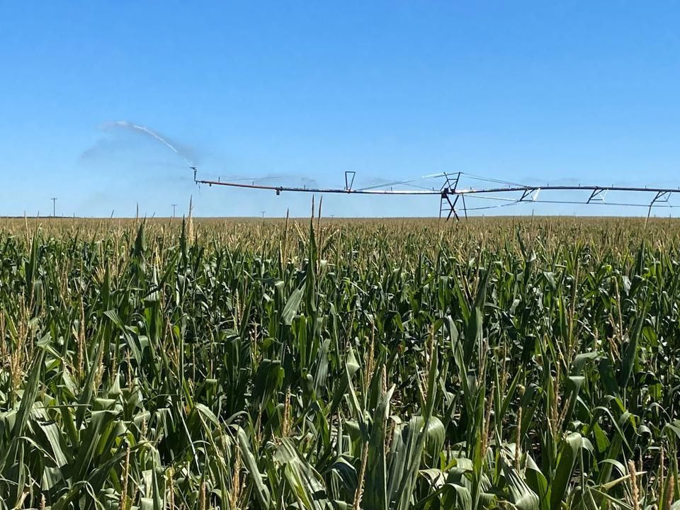 Road 17W, Kimball, NE 69128 LandWatch