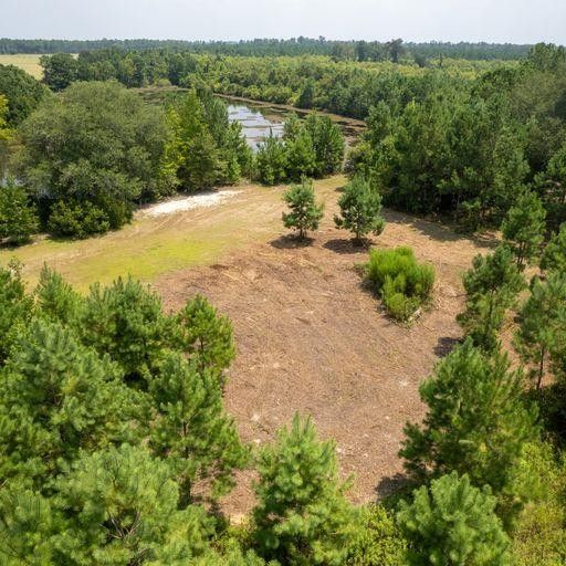 Lakeland, Lanier County, GA for sale Property ID 417642308 LandWatch