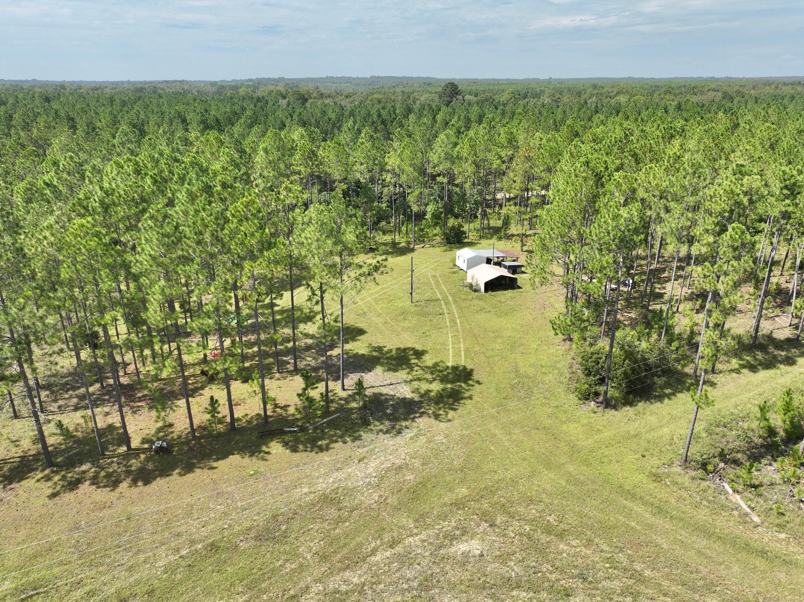 Eastman, Dodge County, GA Recreational Property, Timberland Property