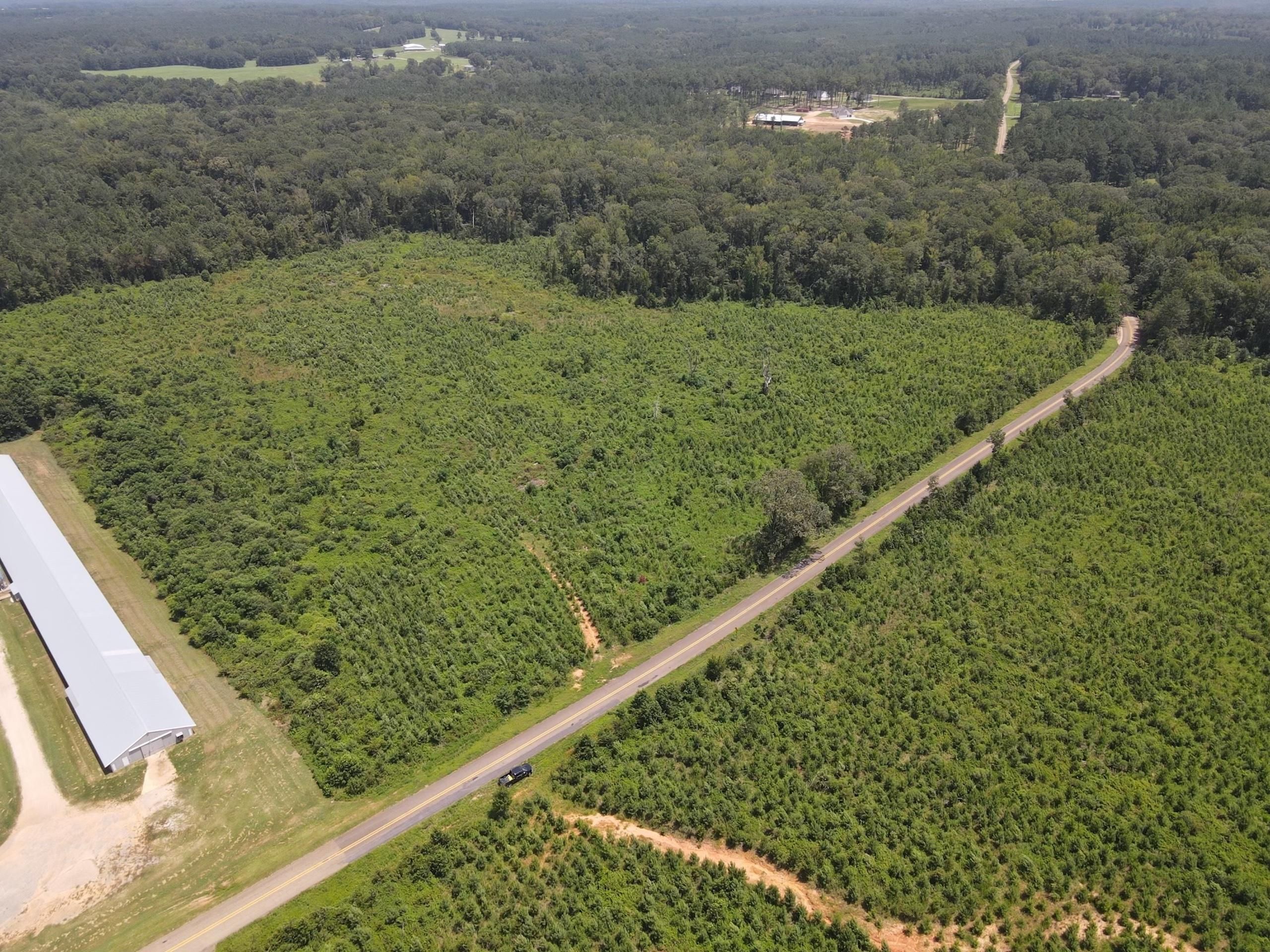 Ruston, Lincoln Parish, LA Recreational Property, Timberland Property, Hunting Property for sale