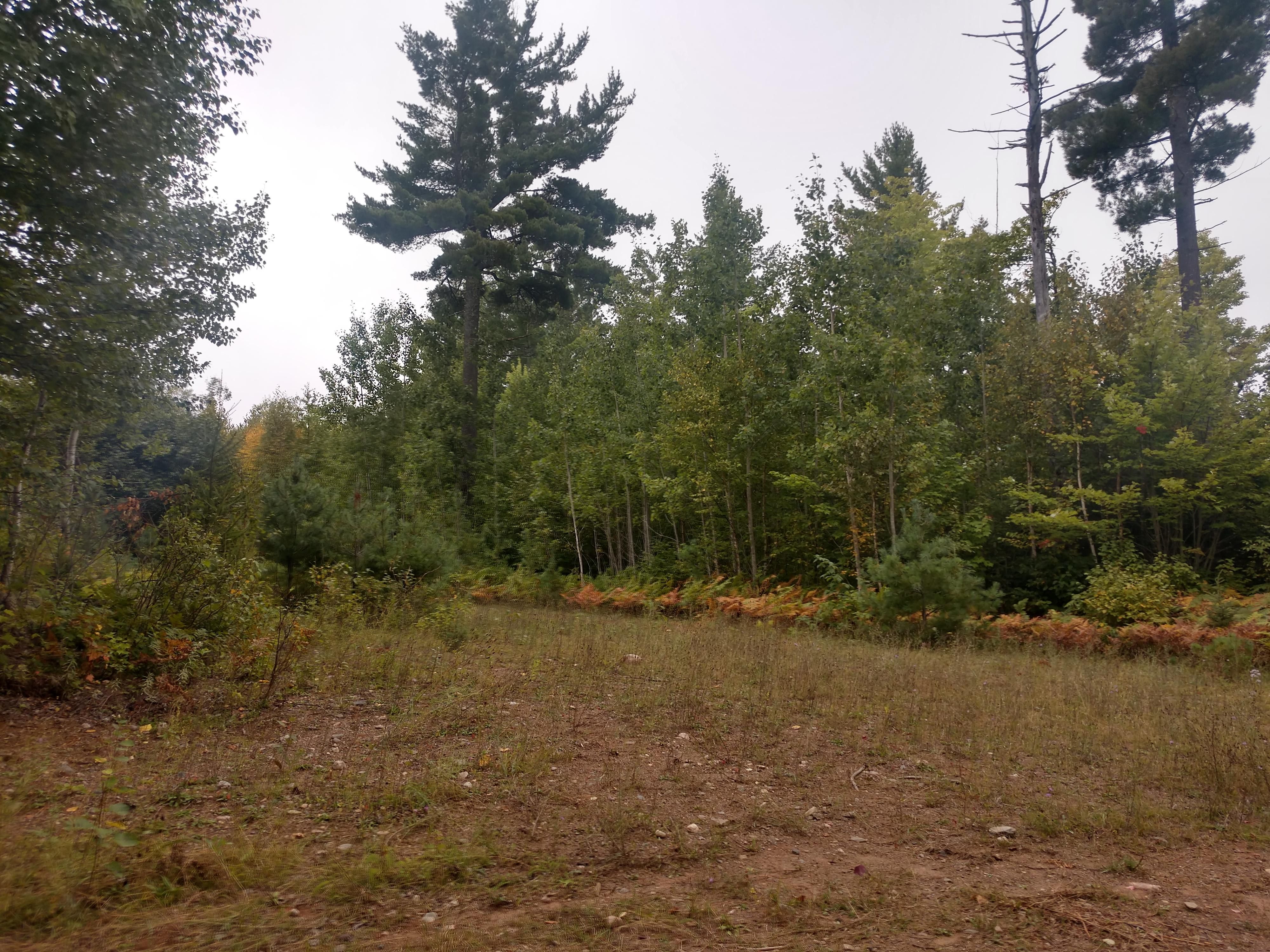 Republic, Marquette County, MI Recreational Property, Hunting Property