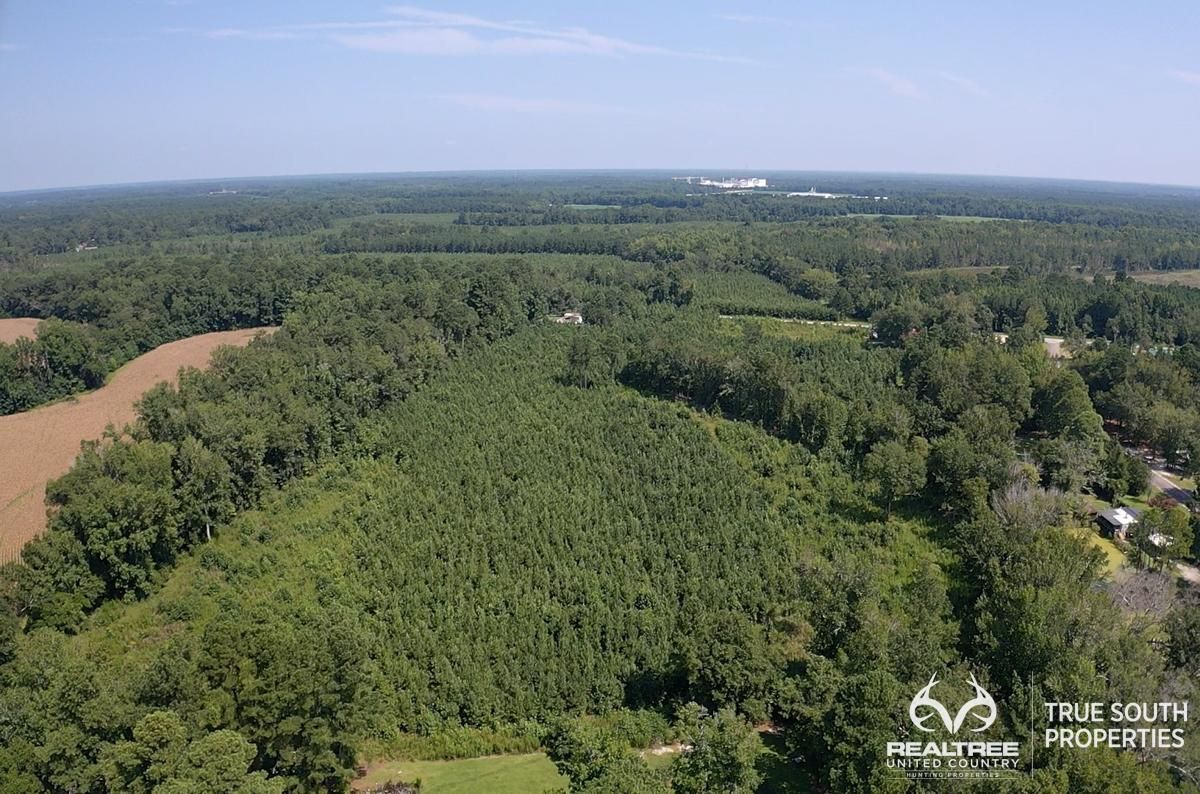 Fairfax, Allendale County, SC Recreational Property, Undeveloped Land