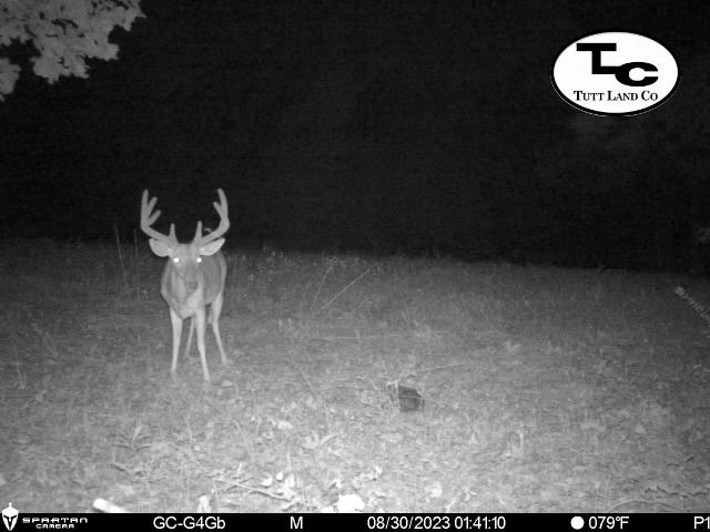 Brooksville, Blount County, AL Recreational Property, Timberland