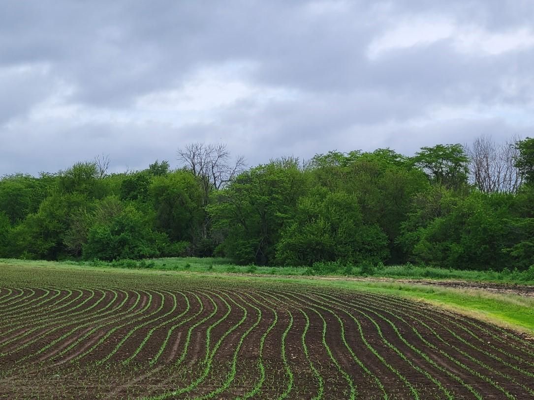 Oxford, Benton County, IN Farms and Ranches, Recreational Property for