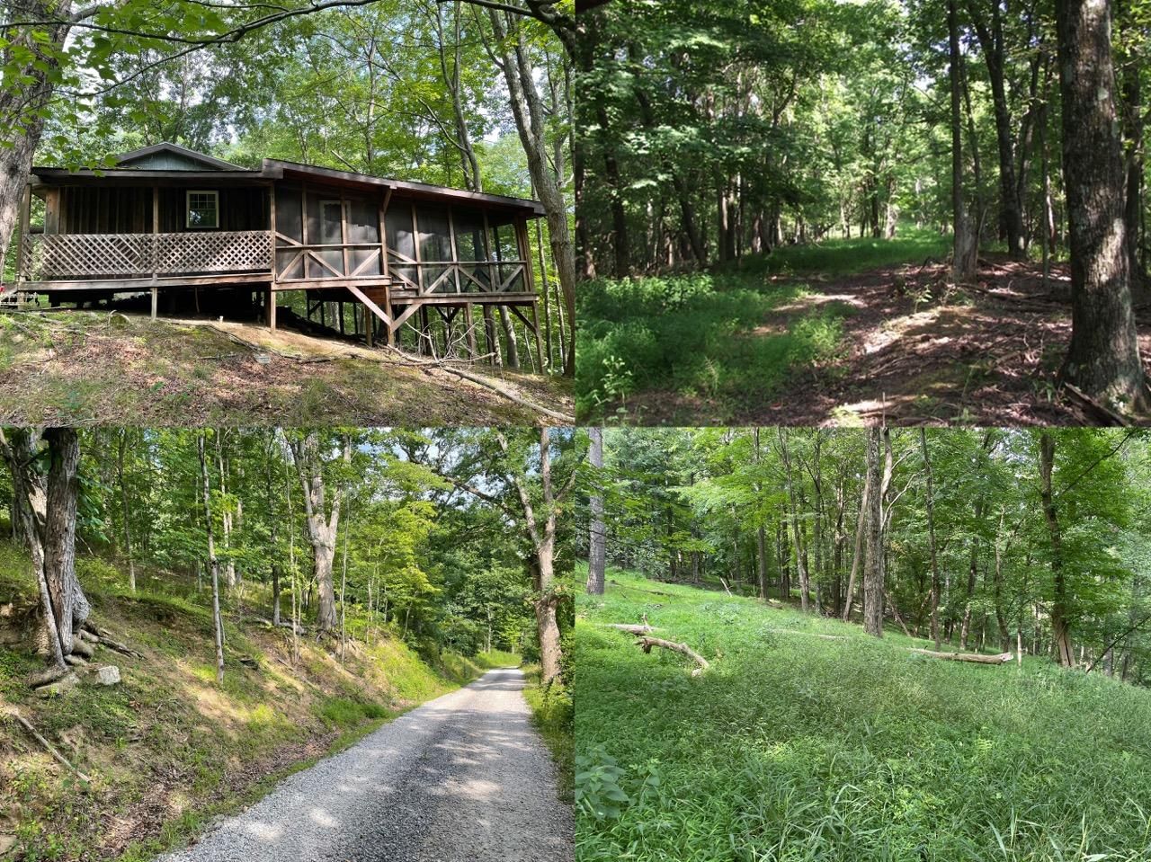 West Union, Doddridge County, WV Hunting Property for auction Property