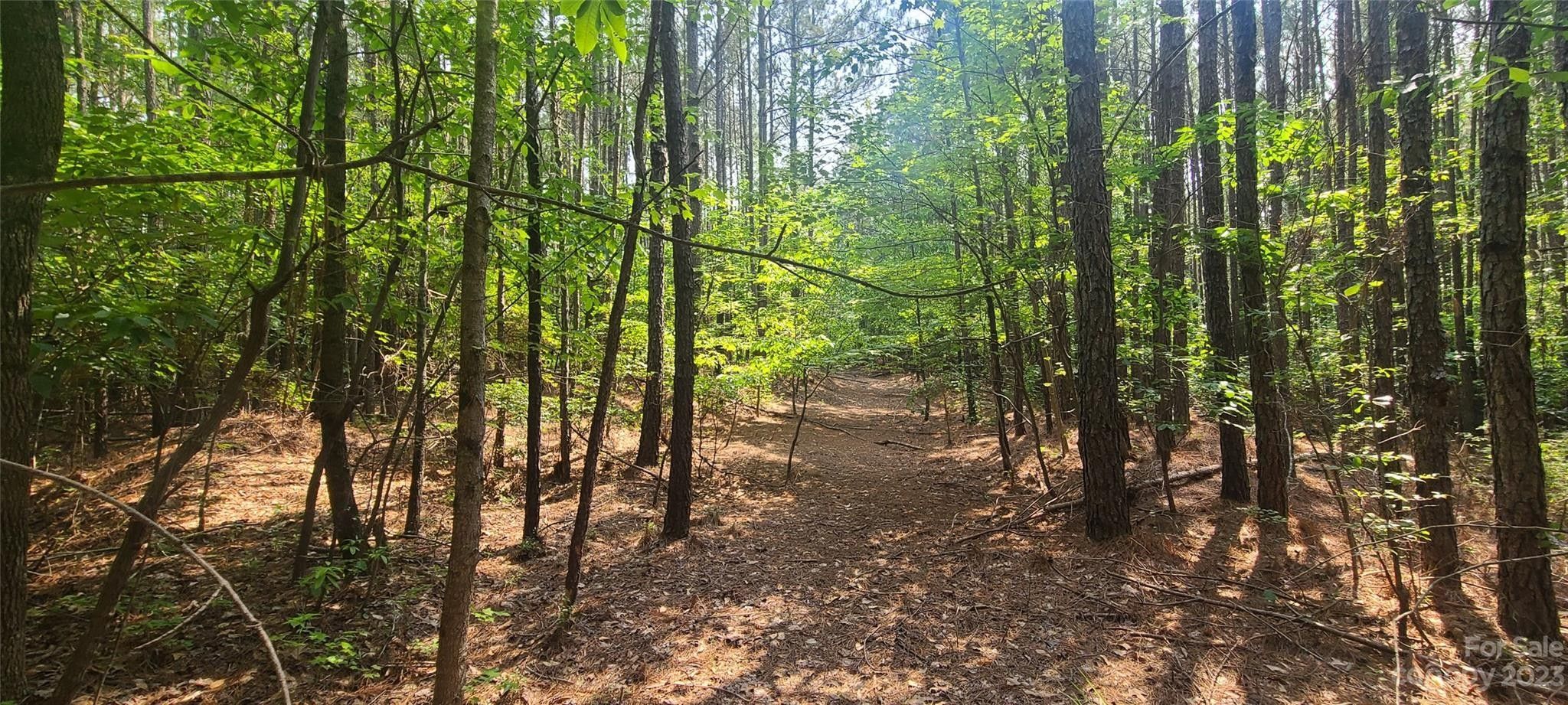 Robbins, Moore County, NC Undeveloped Land for sale Property ID