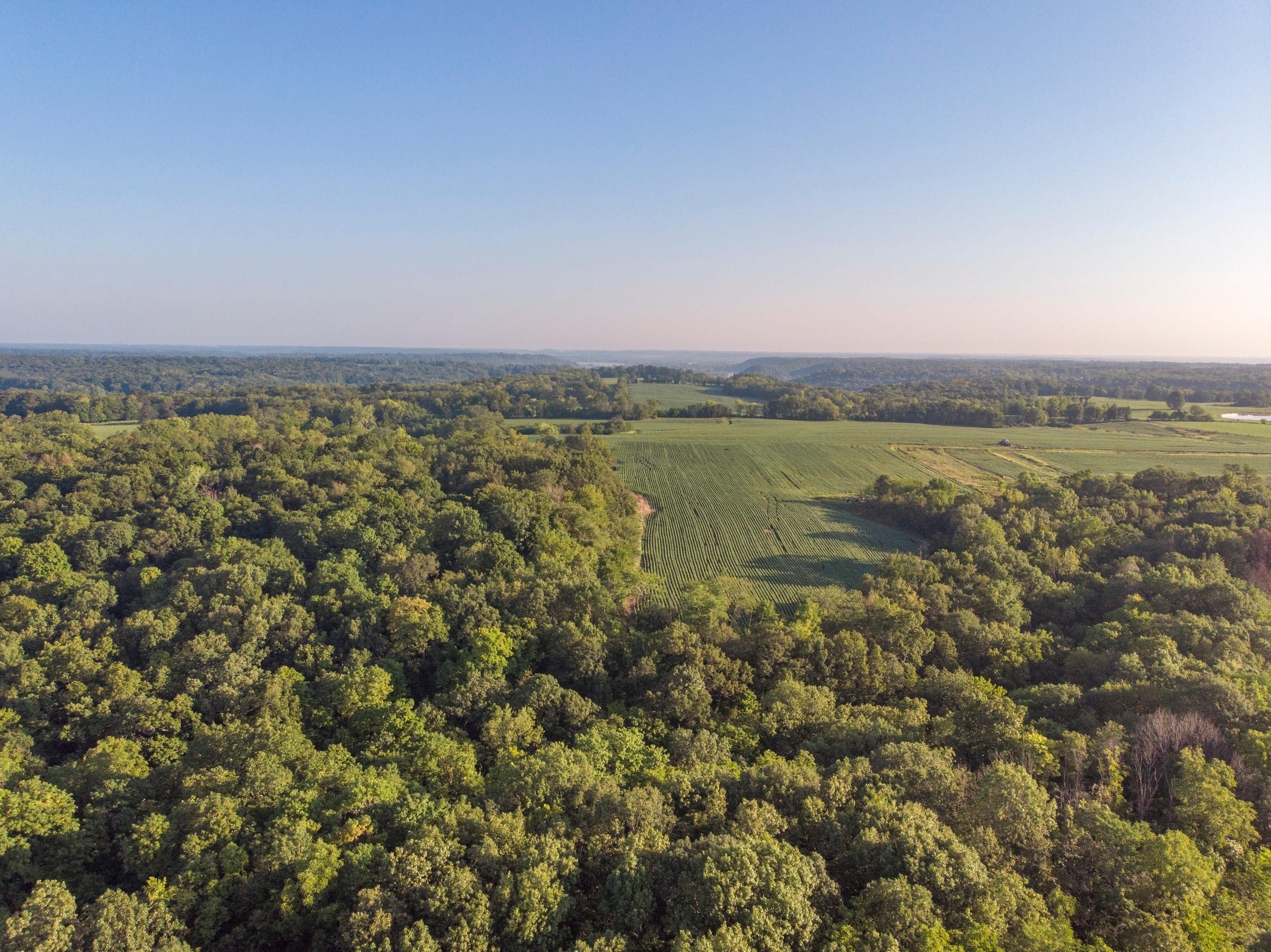 Center, Ralls County, MO Farms and Ranches, House for auction Property
