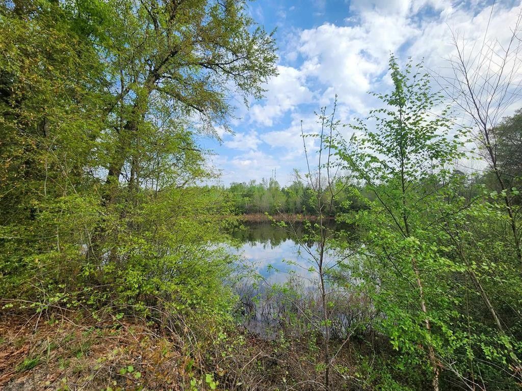 Irwinton, Wilkinson County, GA Undeveloped Land for sale Property ID