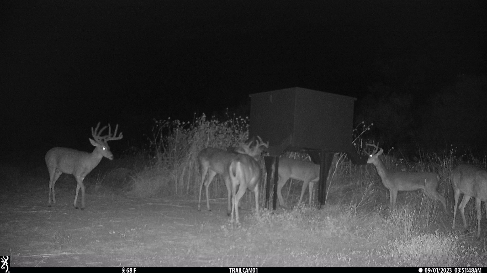 Coleman, Coleman County, TX Farms and Ranches, Hunting Property for