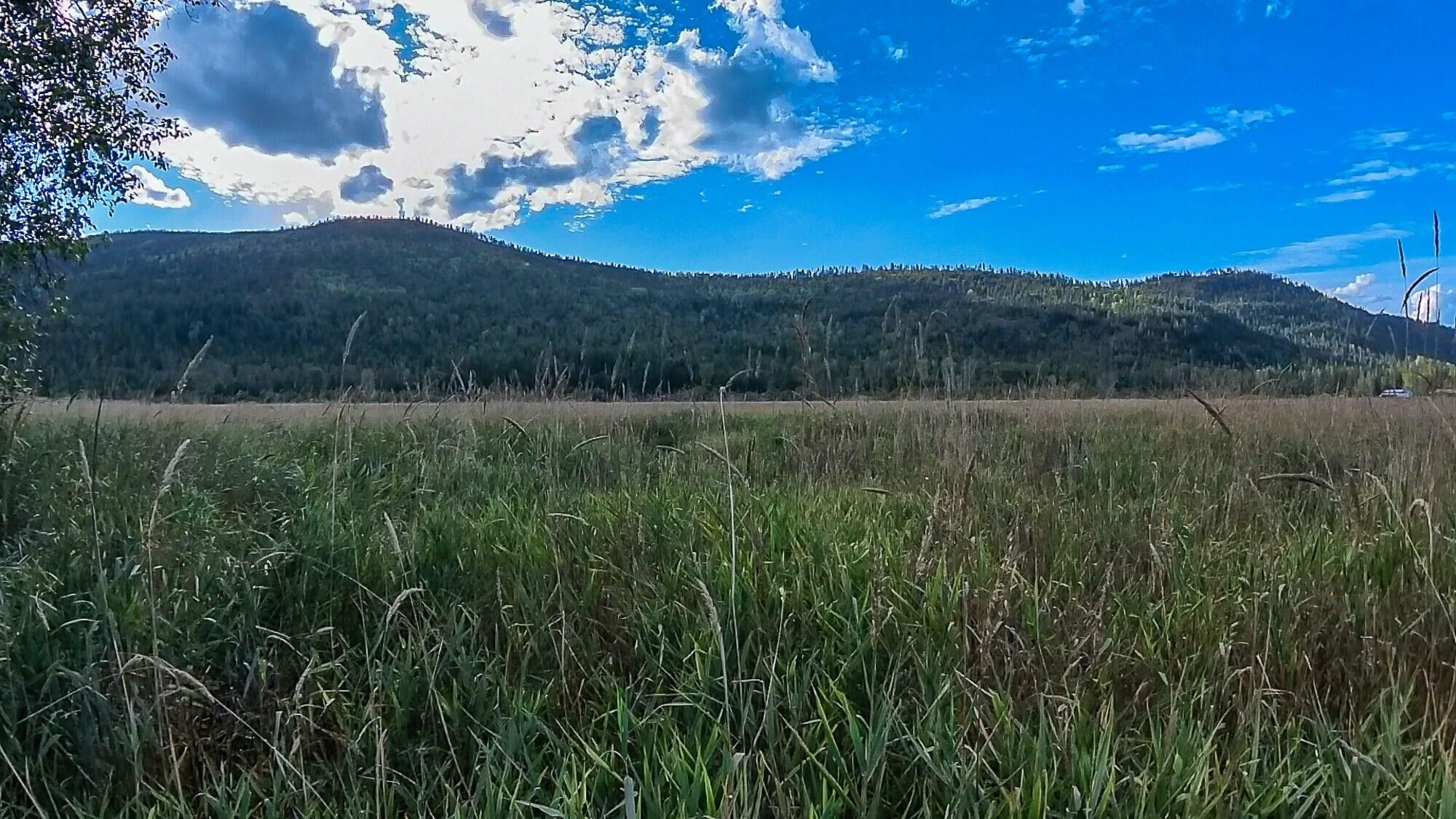 NNA DEEP LAKE BOUNDARY RD, Colville, WA 99114 MLS 42769 LandWatch