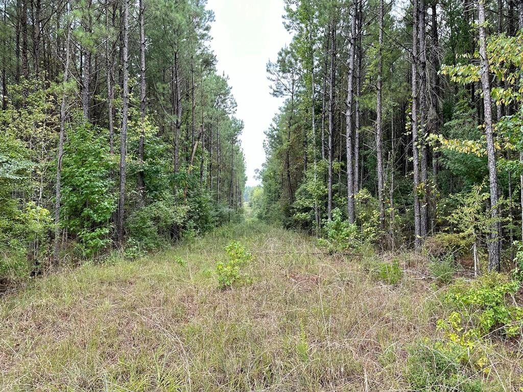 Bogue Chitto, Lincoln County, MS Undeveloped Land for sale Property ID