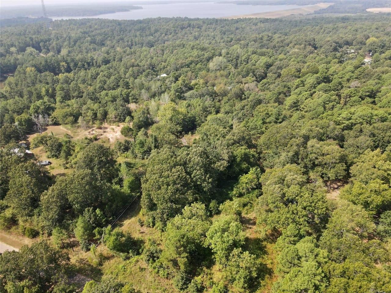 Powderly, Lamar County, TX Recreational Property, Undeveloped Land for