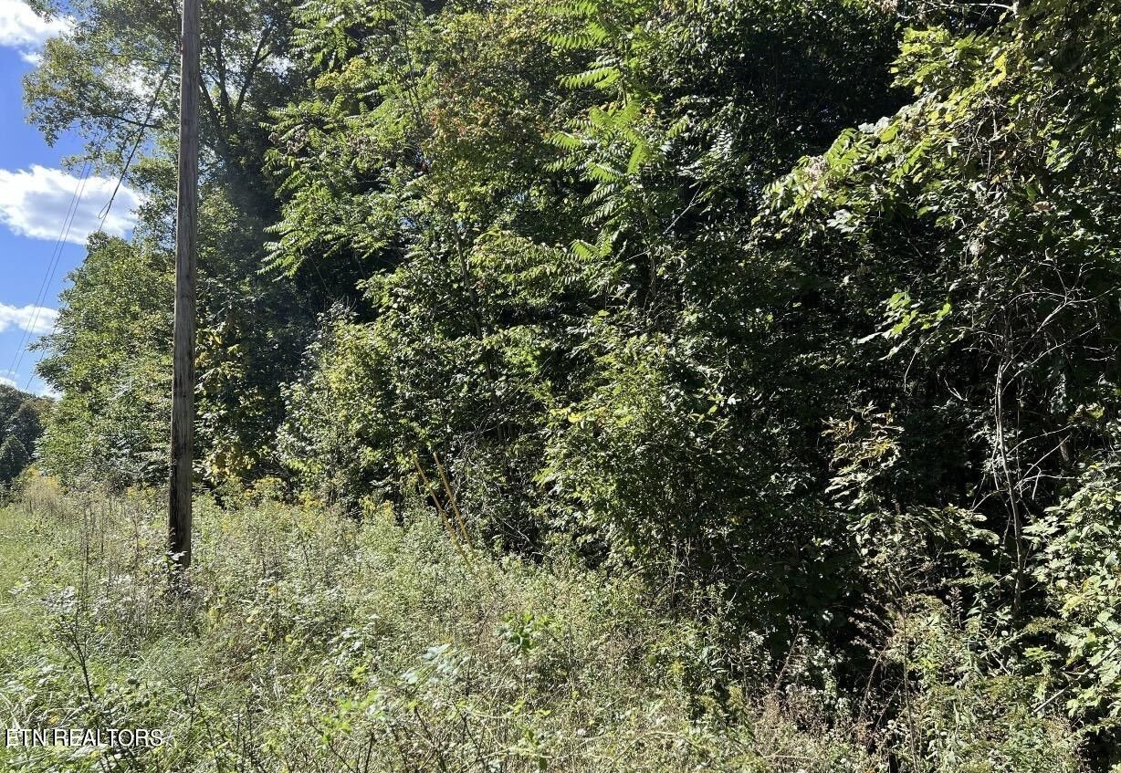 Jamestown, Fentress County, TN Homesites for sale Property ID