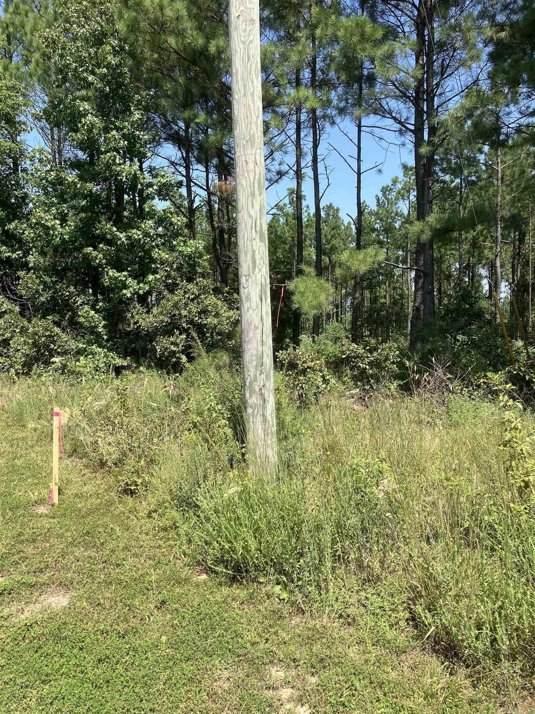 Drasco, Cleburne County, AR Undeveloped Land, Homesites for sale