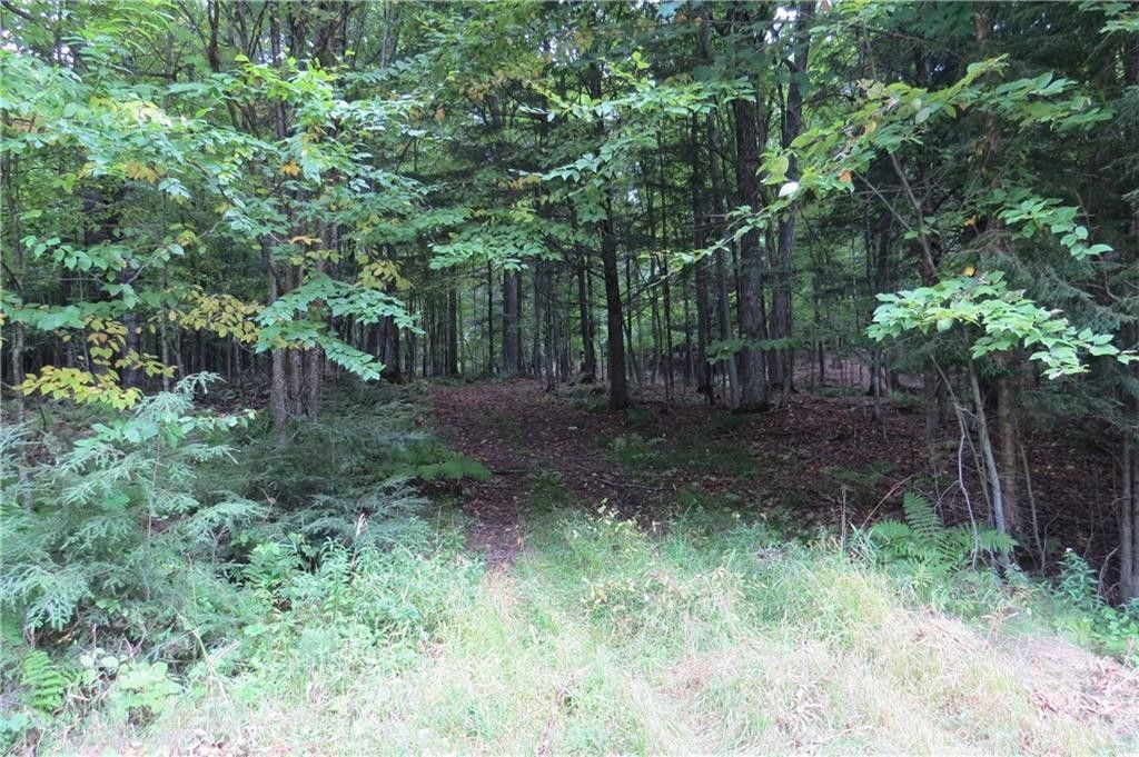 Stanley, Chippewa County, WI Undeveloped Land for sale Property ID