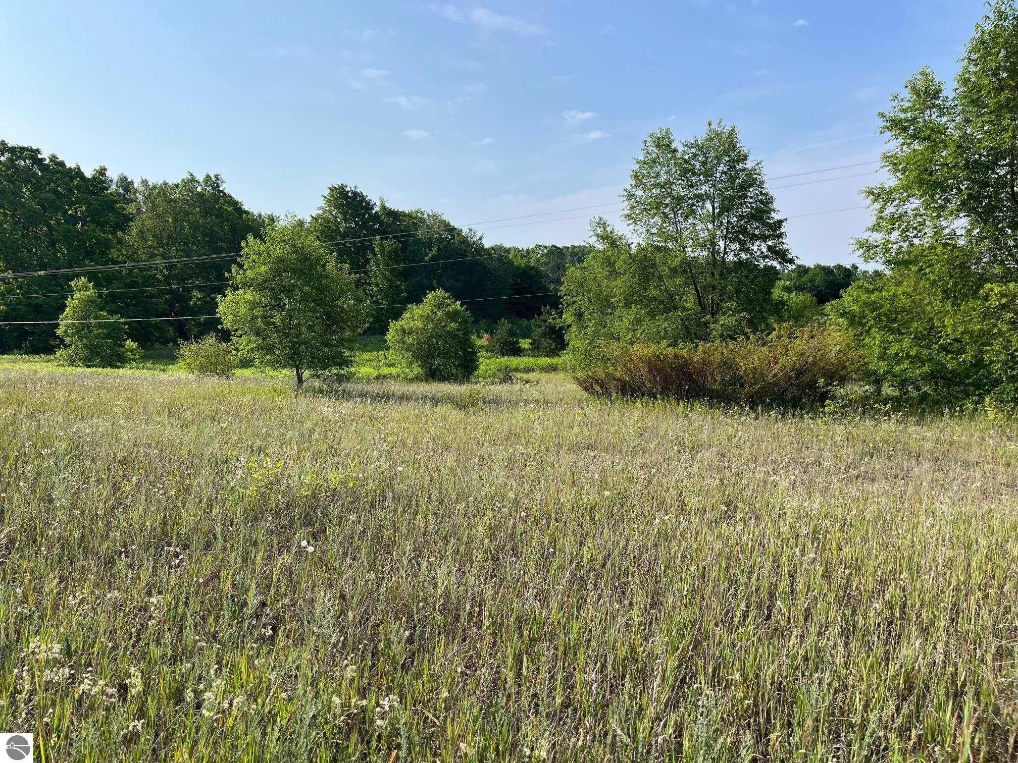 Bear Lake, Manistee County, MI Undeveloped Land for sale Property ID