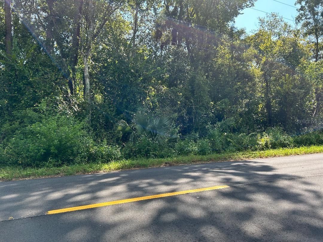 Kissimmee, Osceola County, FL Undeveloped Land for sale Property ID