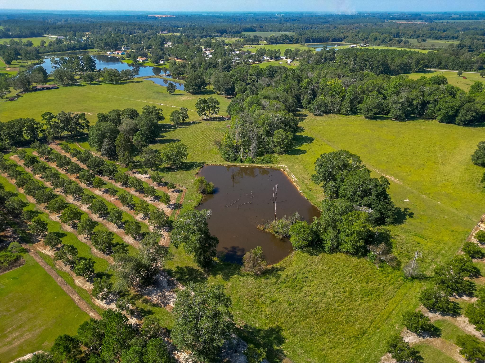 48 Norman Mathis Rd, Tifton, GA 31794 LandWatch