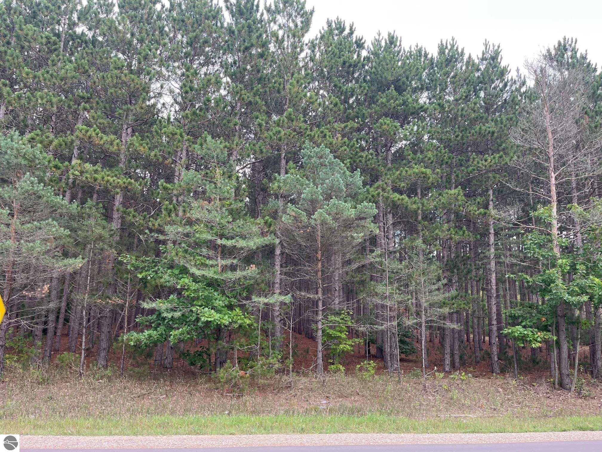Thompsonville, Benzie County, MI Undeveloped Land for sale Property ID
