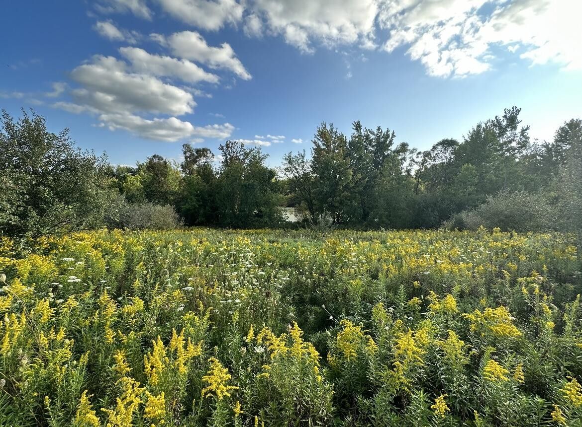 Onsted, Lenawee County, MI Undeveloped Land, Lakefront Property