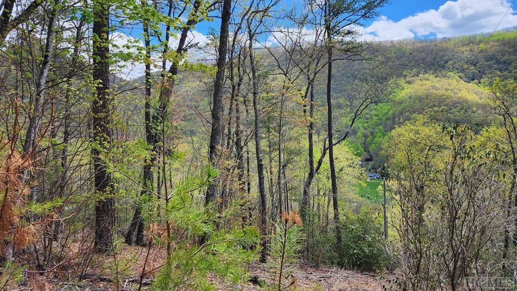 Franklin, Macon County, NC Undeveloped Land for sale Property ID