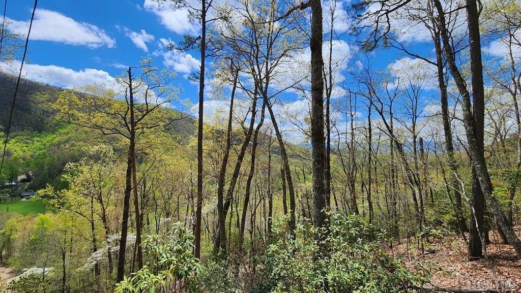 Franklin, Macon County, NC Undeveloped Land for sale Property ID
