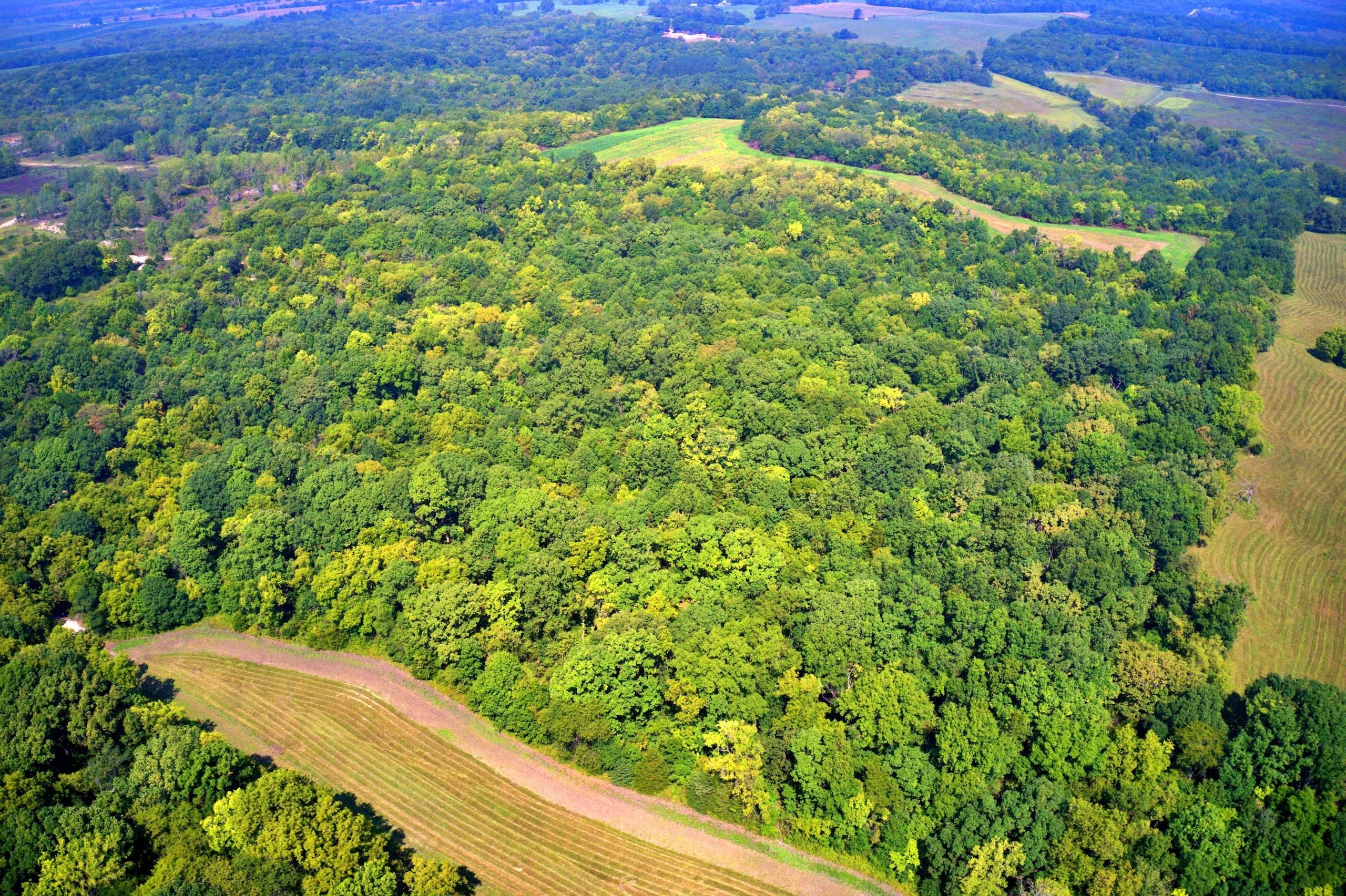 Richmond, Ray County, MO Farms and Ranches, Recreational Property