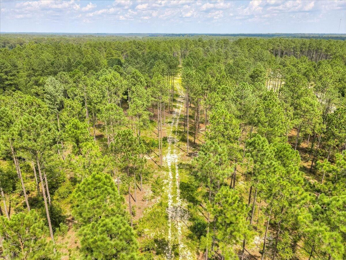 Avera, Jefferson County, GA Farms and Ranches for sale Property ID