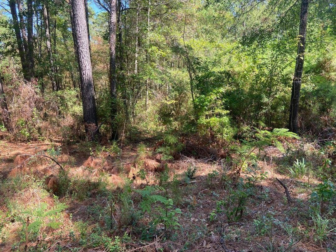 TBD Highland Dr, Zwolle, LA 71486 MLS 11206278 LandWatch