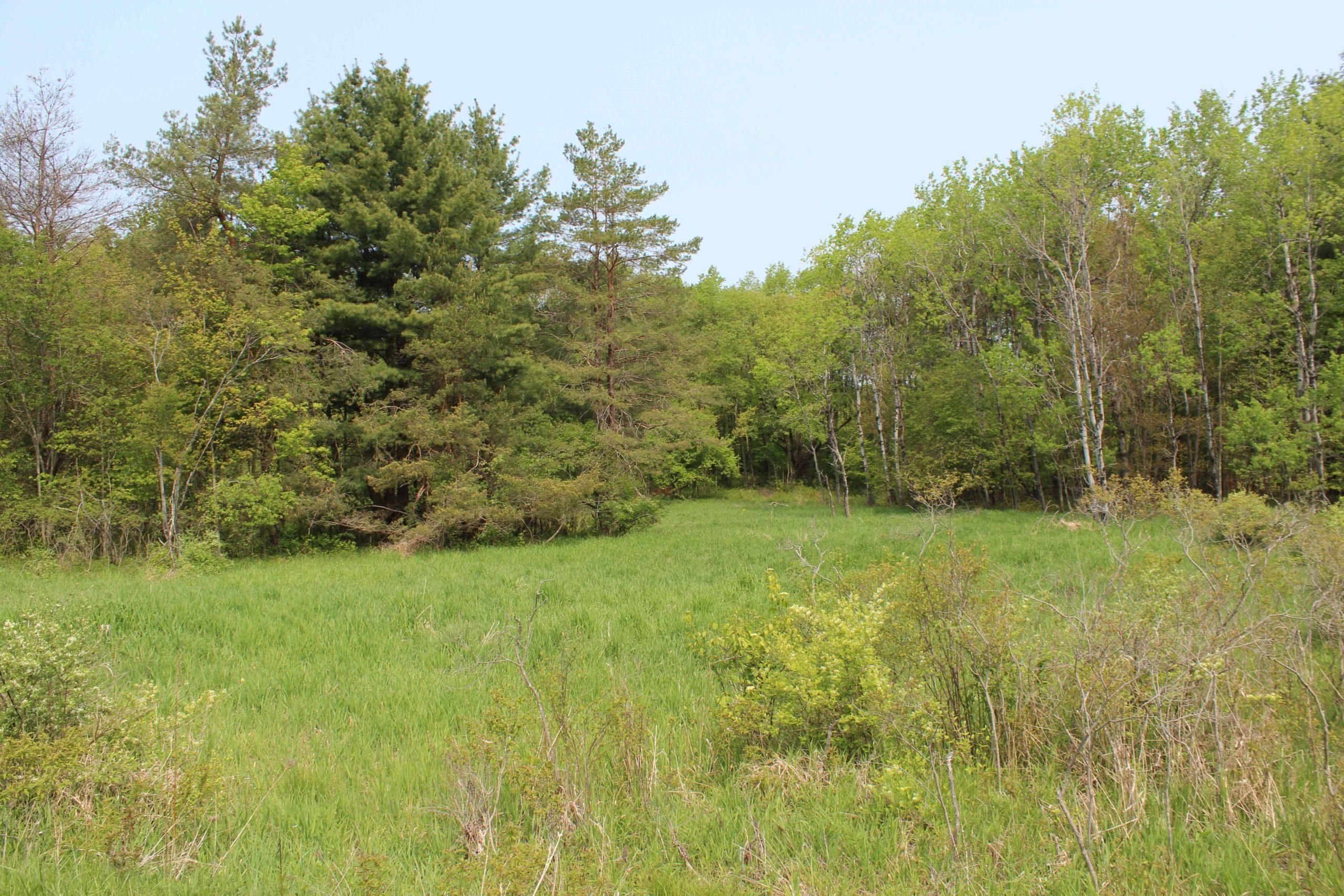 3373 Hance Rd, Binghamton, NY 13903 MLS S1497612 LandWatch