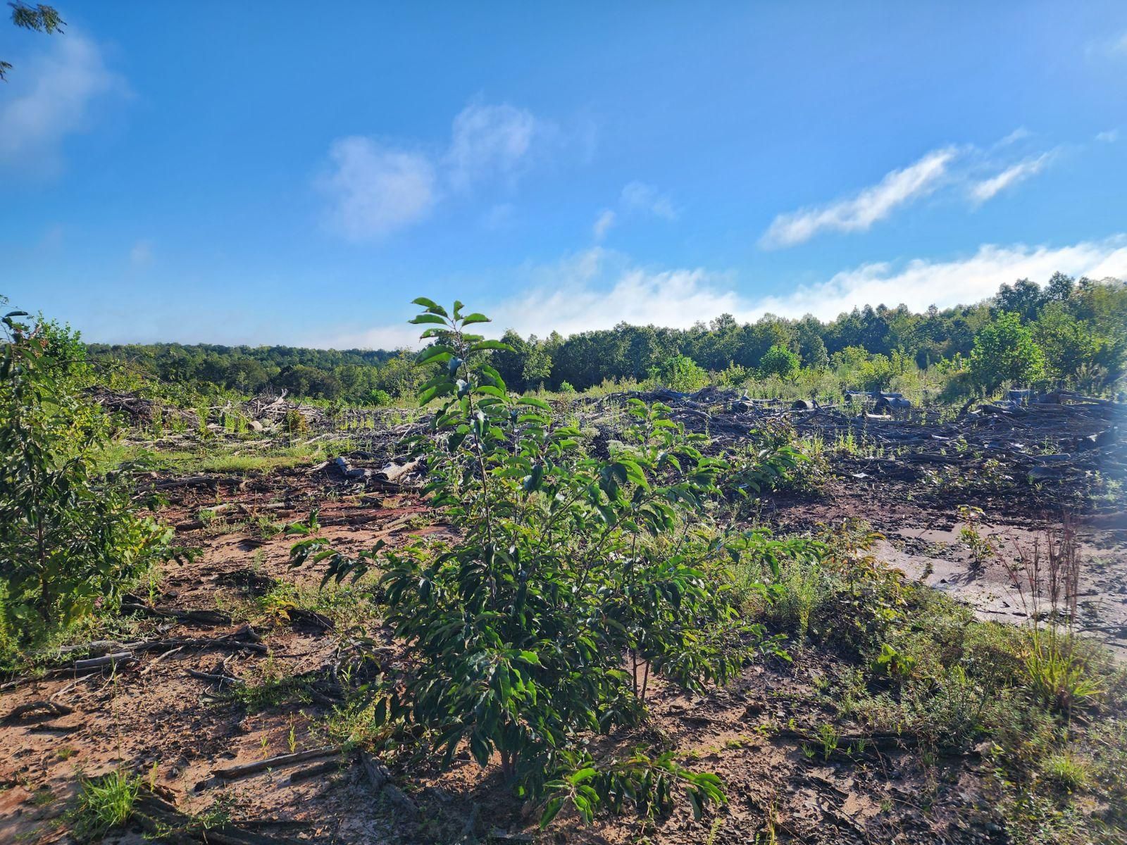 Keysville, Lunenburg County, VA Recreational Property, Undeveloped Land