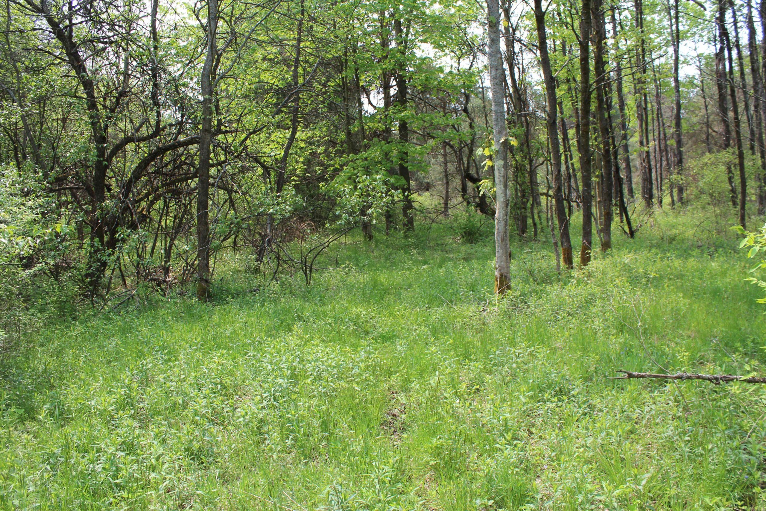 Binghamton, Broome County, NY Recreational Property, Undeveloped Land