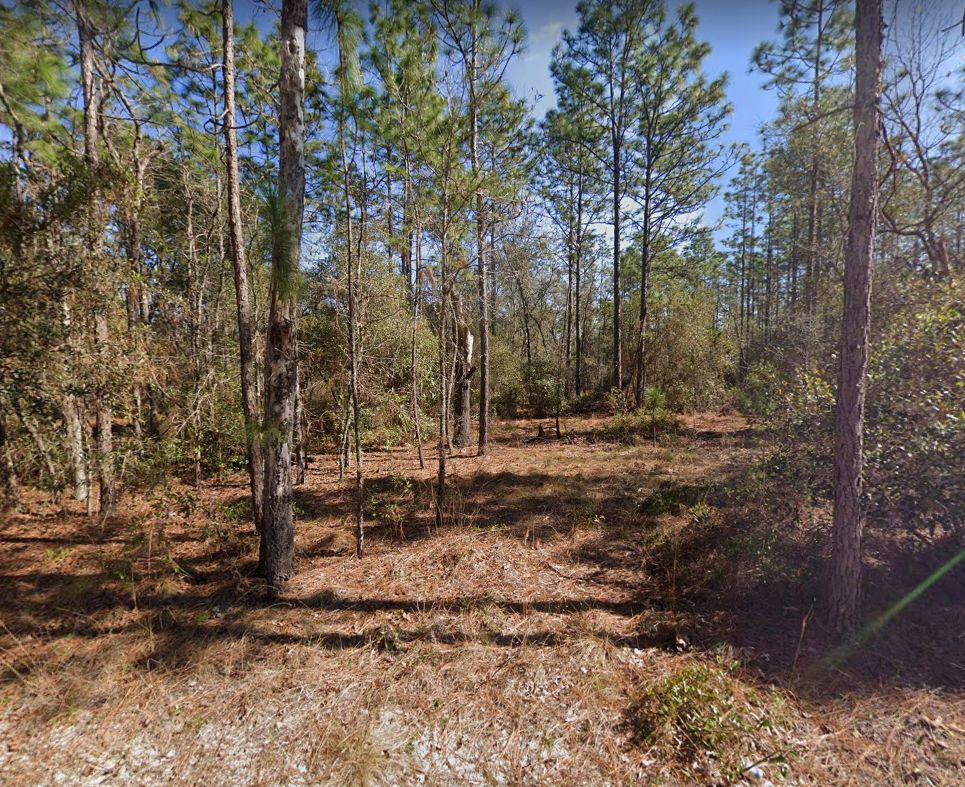 Sleepy Pt, Melrose, FL 32666 LandWatch