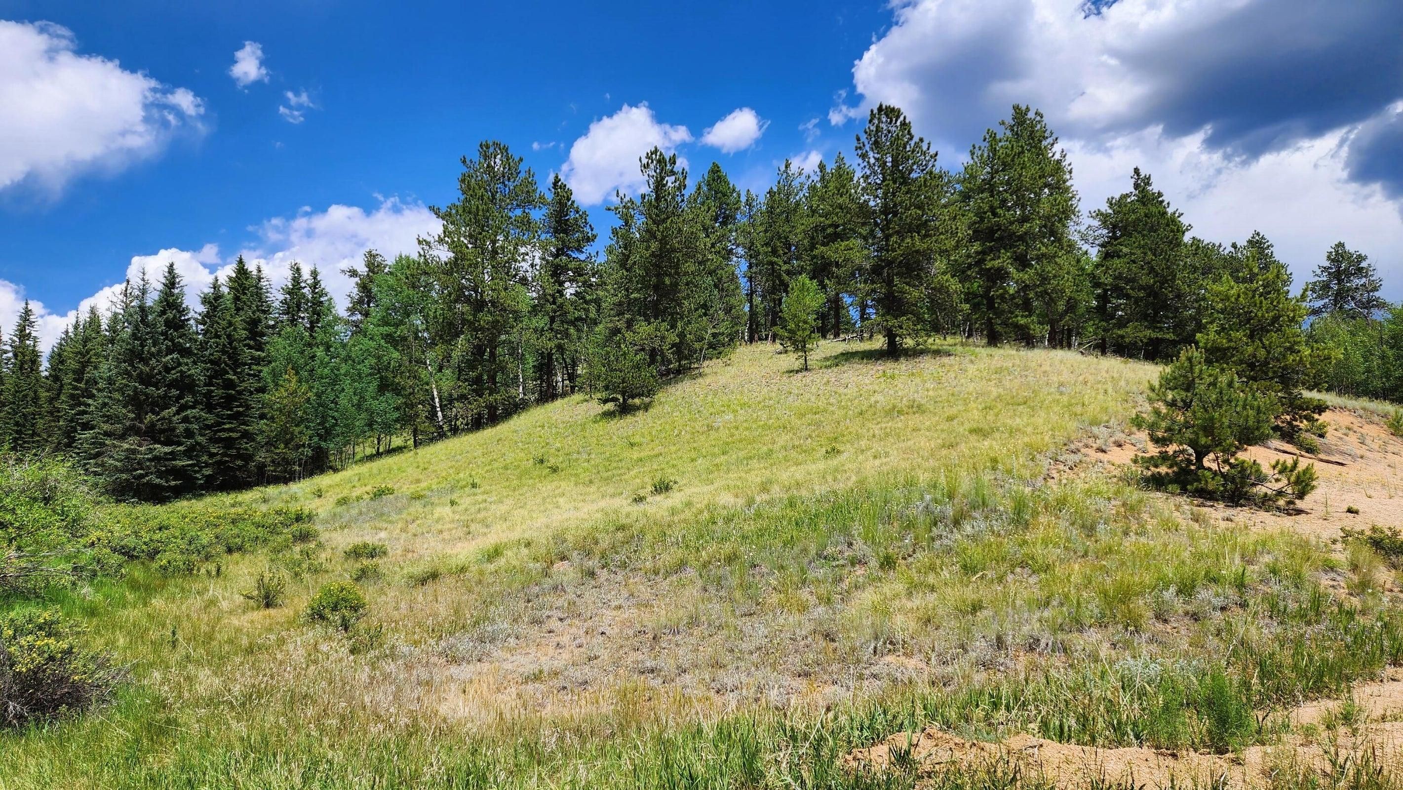 1210 East Bison Creek Trail, Divide, CO 80814 MLS 23867 LandWatch