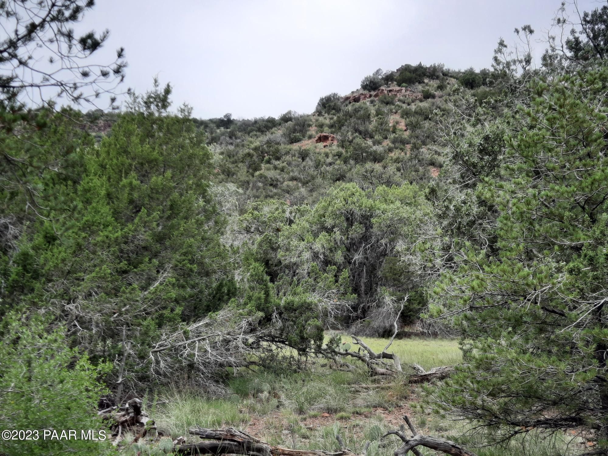 Seligman, Yavapai County, AZ Undeveloped Land for sale Property ID 417655081 LandWatch