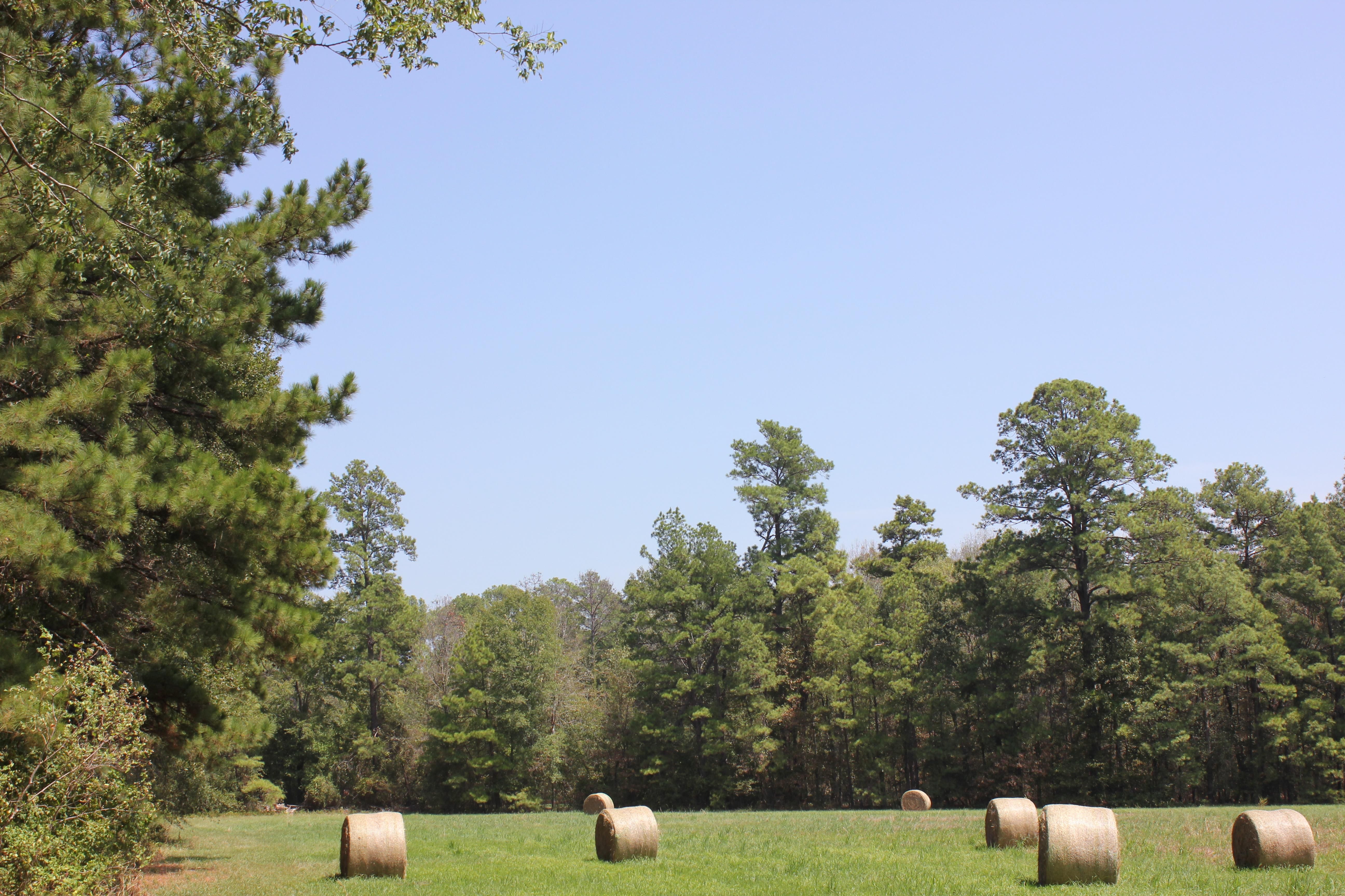 Huntington, Angelina County, TX Farms and Ranches, Undeveloped Land