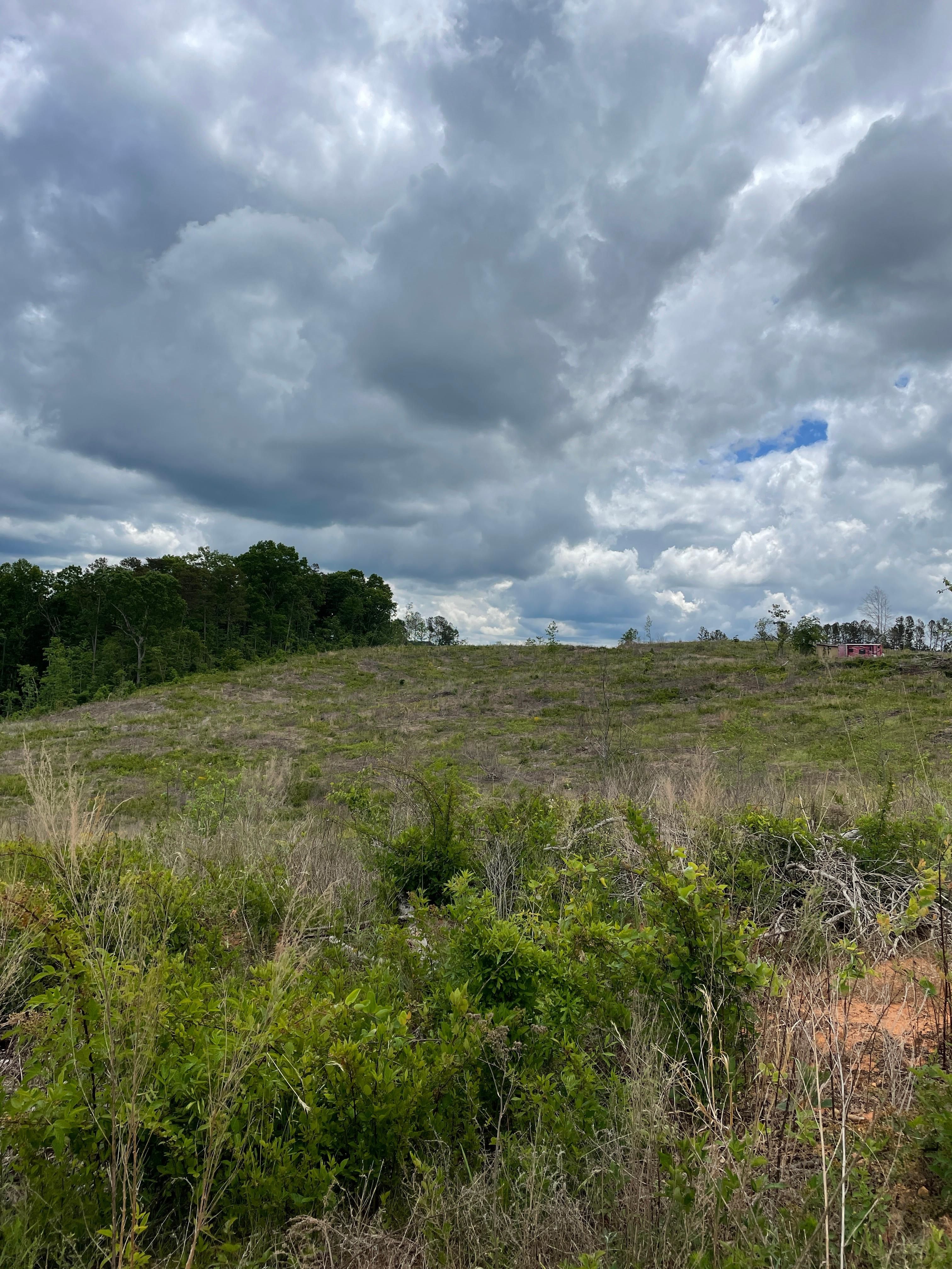 East Silver Shoals Road, Toccoa, GA 30577 LandWatch