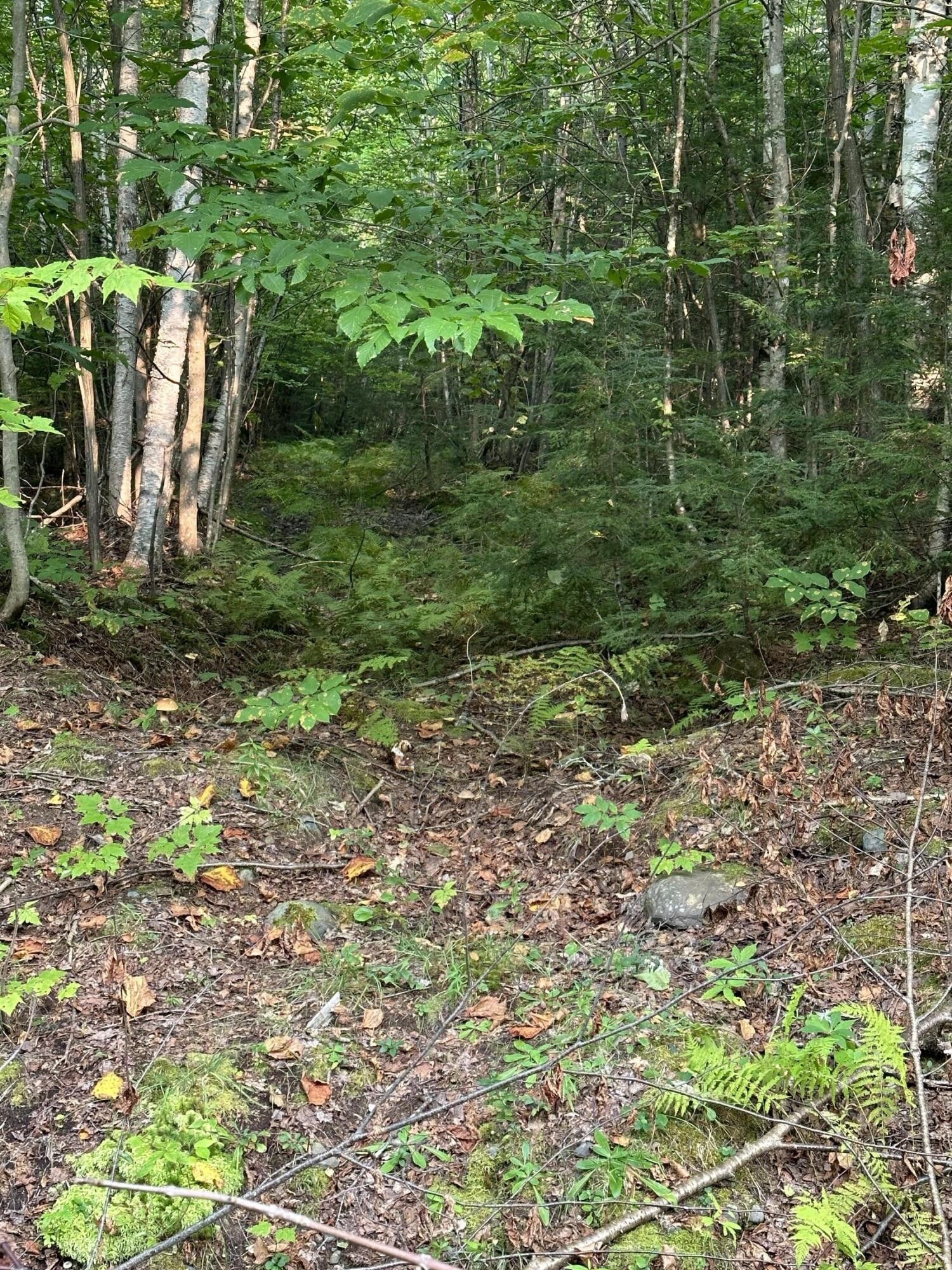 Brownville, Piscataquis County, ME Undeveloped Land for sale Property