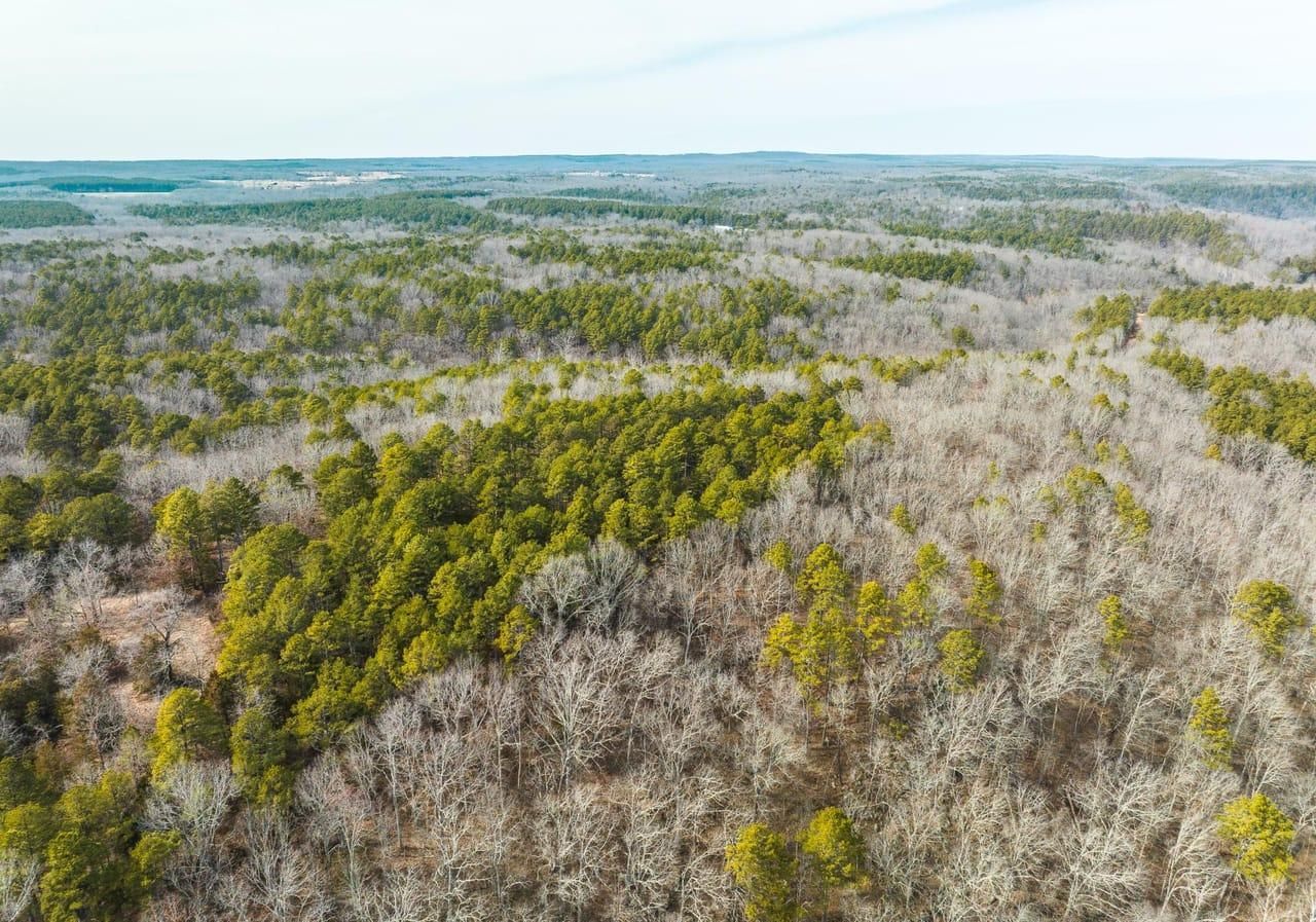 Roby, Texas County, MO Farms and Ranches, Recreational Property