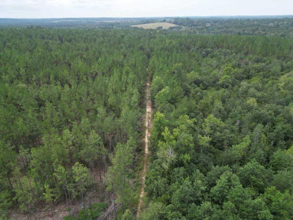 Leakesville, Greene County, MS Recreational Property, Timberland