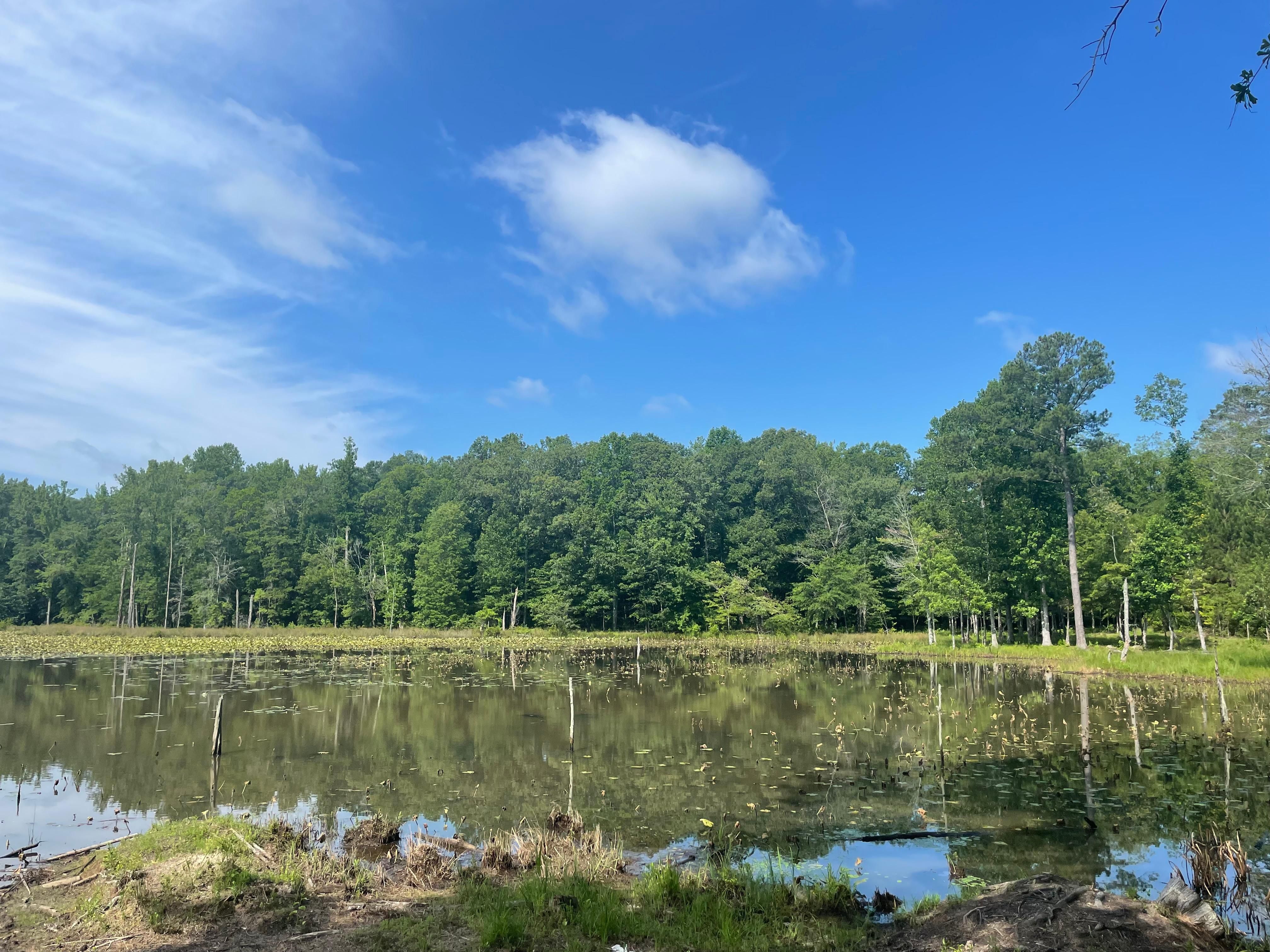 Gamble Rd, Woodstock, AL 35111 LandWatch