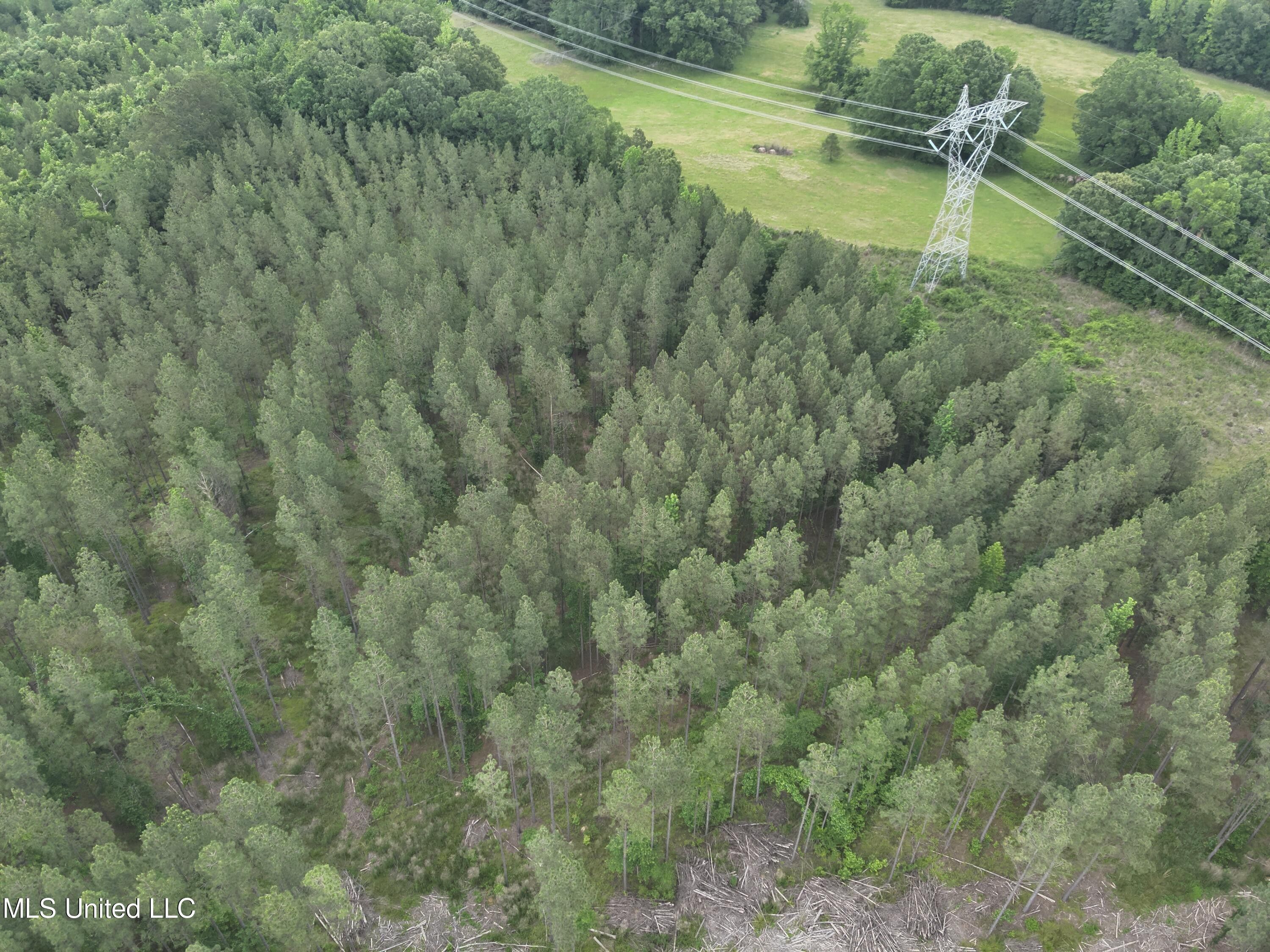 Sallis, Attala County, MS Undeveloped Land for sale Property ID